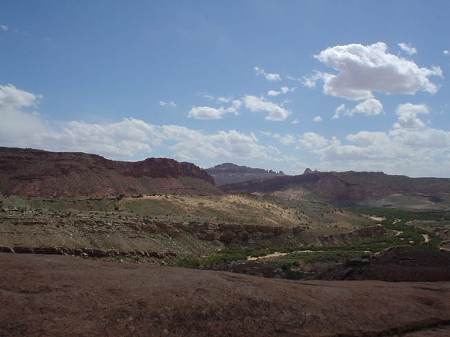 DSC00768