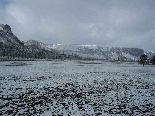 DSC00578