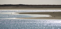 Long Point, Cape Cod, MA